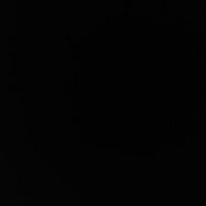 Meet your Posher, Noah