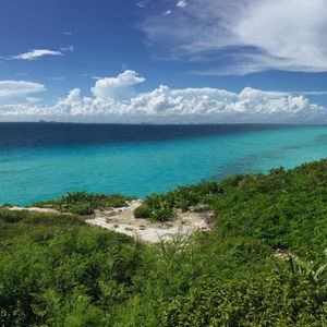 Meet your Posher, Bridget