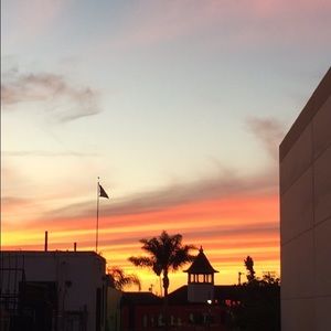 Meet your Posher, Allyssa