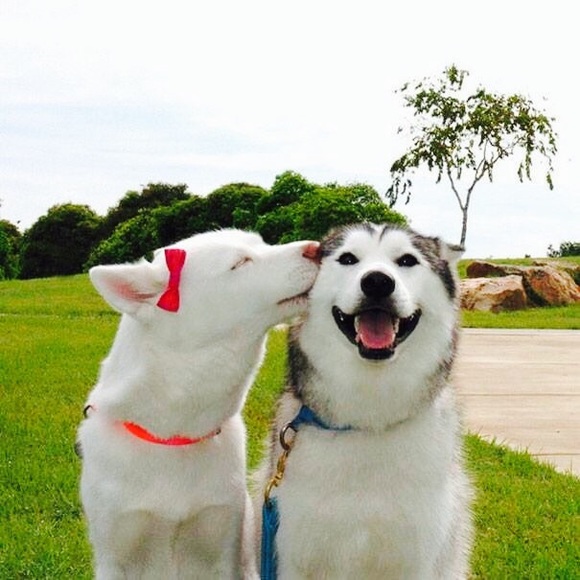 Meet your Posher, Vivie