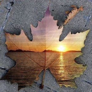 Meet your Posher, Marsha