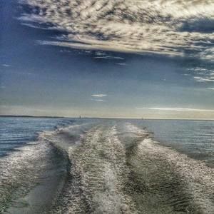 Meet your Posher, Lea