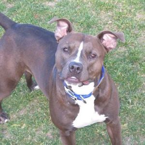 Meet your Posher, Isaac