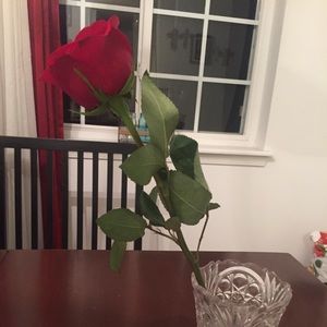 Meet your Posher, Robin