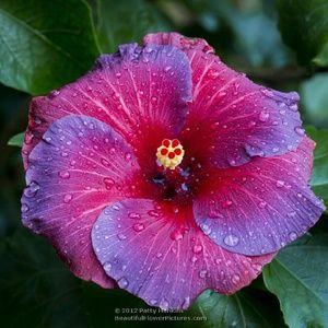 Meet your Posher, Kara