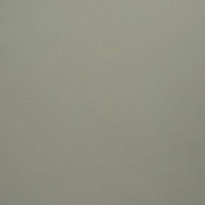 Meet your Posher, Ila