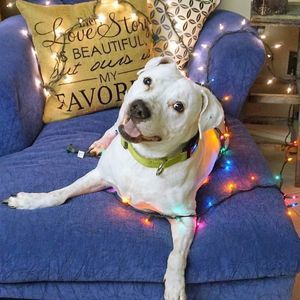 Meet your Posher, Lorraine