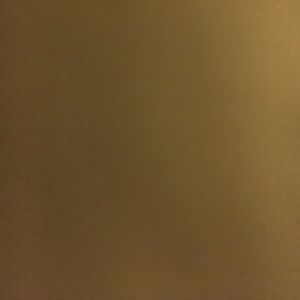 Meet your Posher, Helya