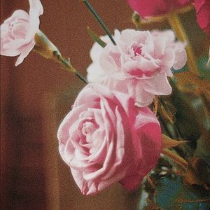 Meet your Posher, La tonya