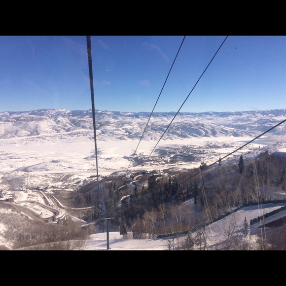 Meet your Posher, Max - Picture 1 of 1