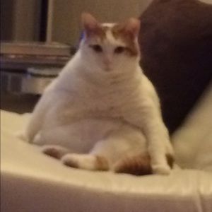 Meet your Posher, Kristy