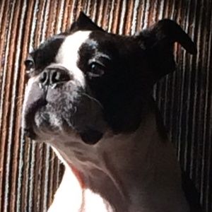 Meet your Posher, Kim