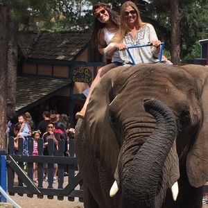 Meet your Posher, Danielle