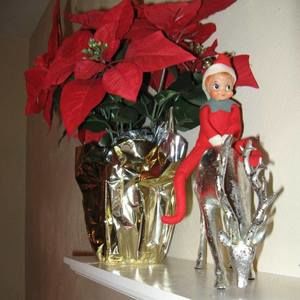 Meet your Posher, Kathy