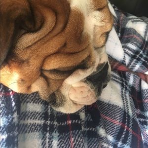 Meet your Posher, Kayla