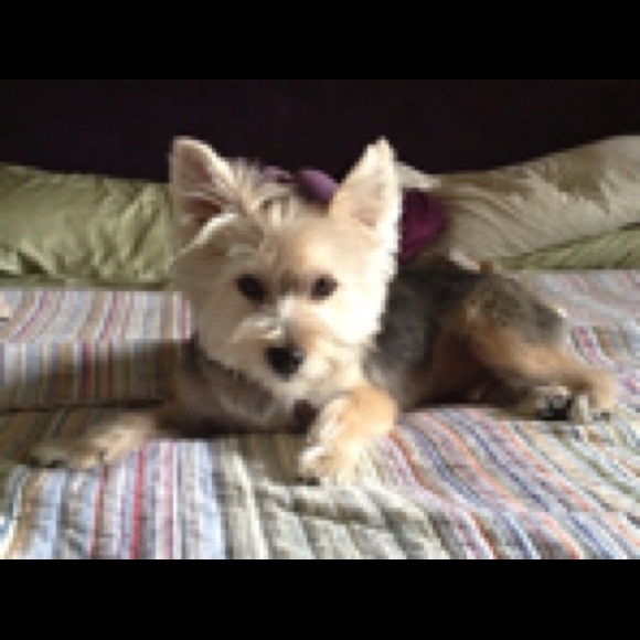 Meet your Posher, Melinda - Picture 1 of 1