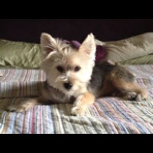 Meet your Posher, Melinda