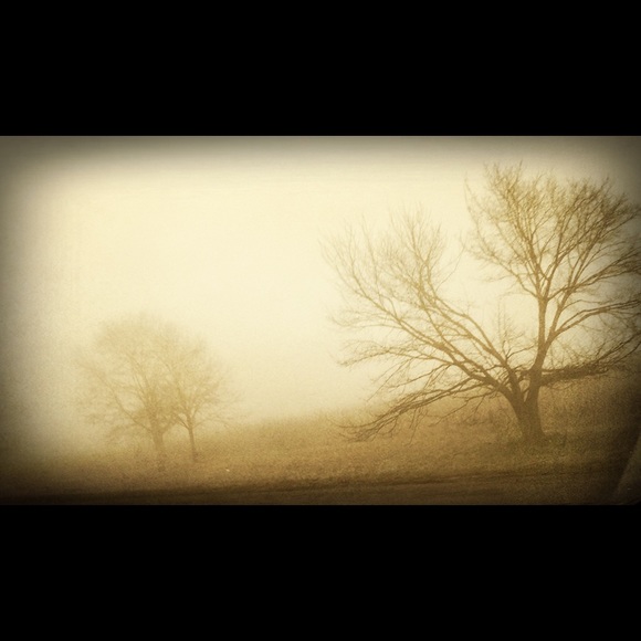 Meet your Posher, Lori - Picture 1 of 1