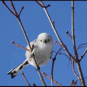 Meet your Posher, Zeying