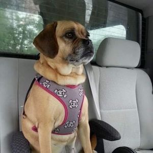 Meet your Posher, Charlene