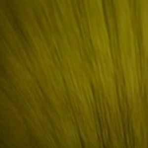 Meet your Posher, Xander