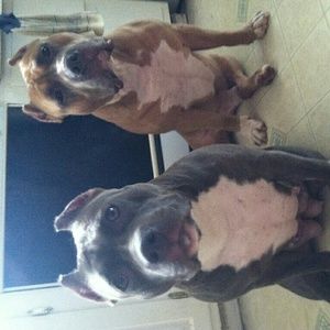 Meet your Posher, Steph