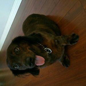 Meet your Posher, Kevin