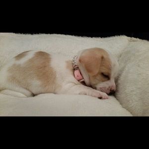 Meet your Posher, Akilah