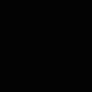 Meet your Posher, Gracie