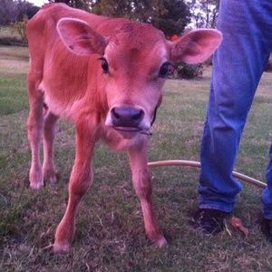 Meet your Posher, Doreen