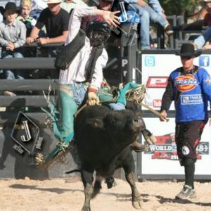 Meet your Posher, Pepper