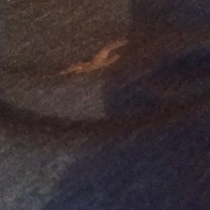 Meet your Posher, Jorge