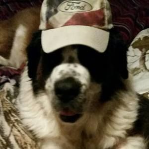 Meet your Posher, Barb