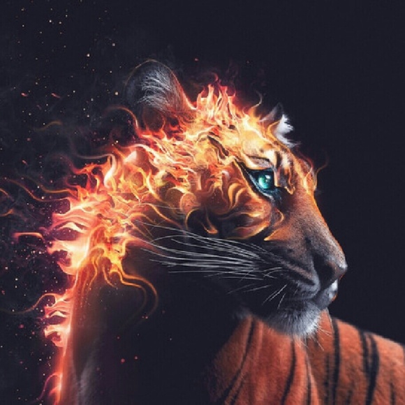 Meet your Posher, Shantaivous - Picture 1 of 1