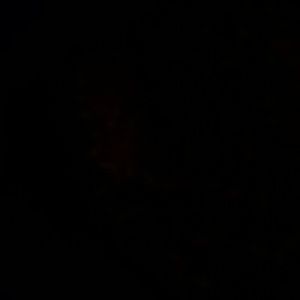 Meet your Posher, Jose