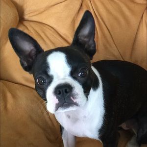 Meet your Posher, Andrea