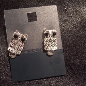 New Owl earrings