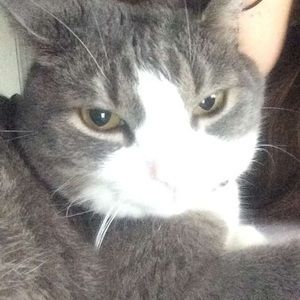 Meet your Posher, Chantel