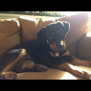 Meet your Posher, Kaylah