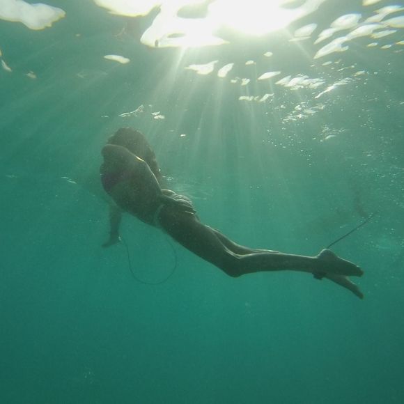 Meet your Posher, Roxanne - Picture 1 of 2