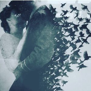 Meet your Posher, Felicia