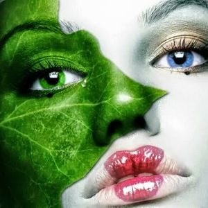 Meet your Posher, Debi