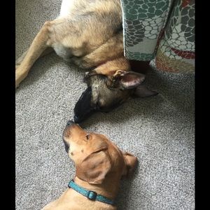 Meet your Posher, Val