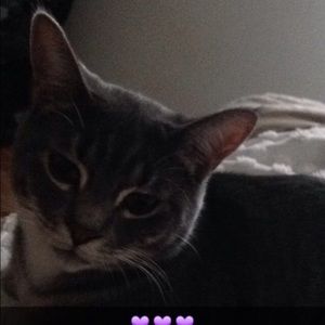 Meet your Posher, Sophie