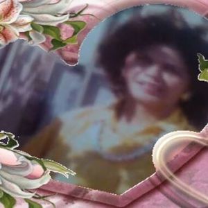 Meet your Posher, Bee