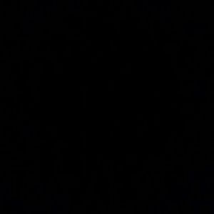 Meet your Posher, Shyler