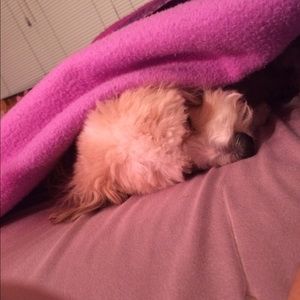 Meet your Posher, Natalie