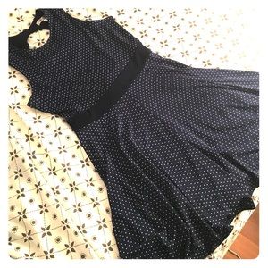 Navy Blue polka dotted A Line dress.