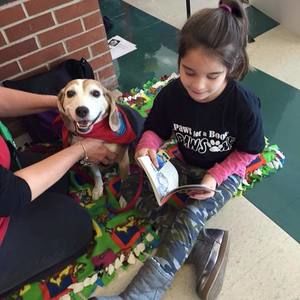 Meet your Posher, Karrie