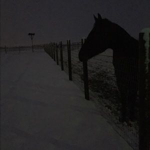 Meet your Posher, Aulina